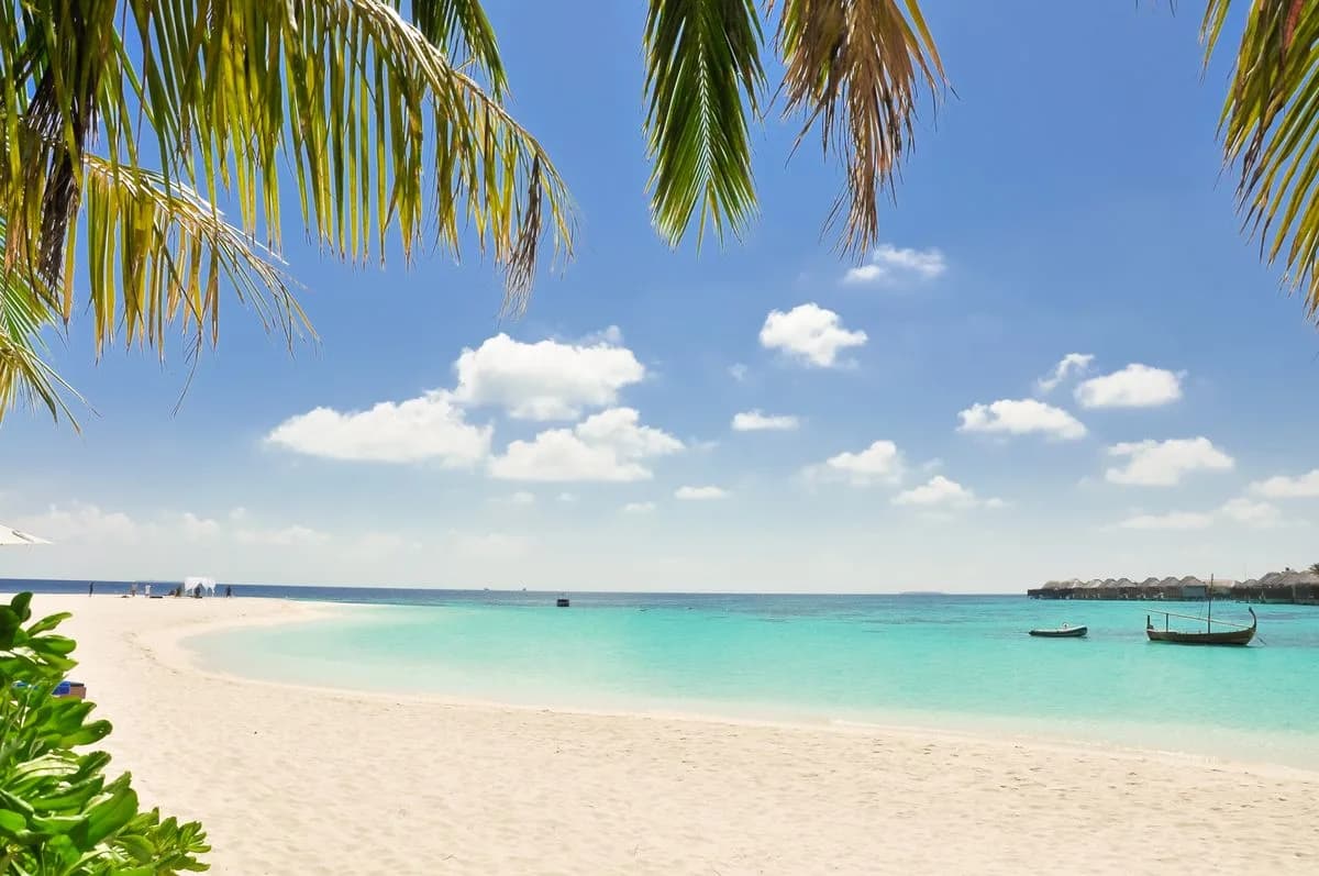 Clear coastline — tourism program ad